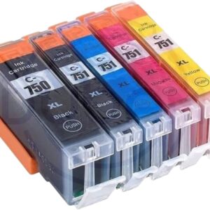 Canon Ink Cartridge 750 751 Set